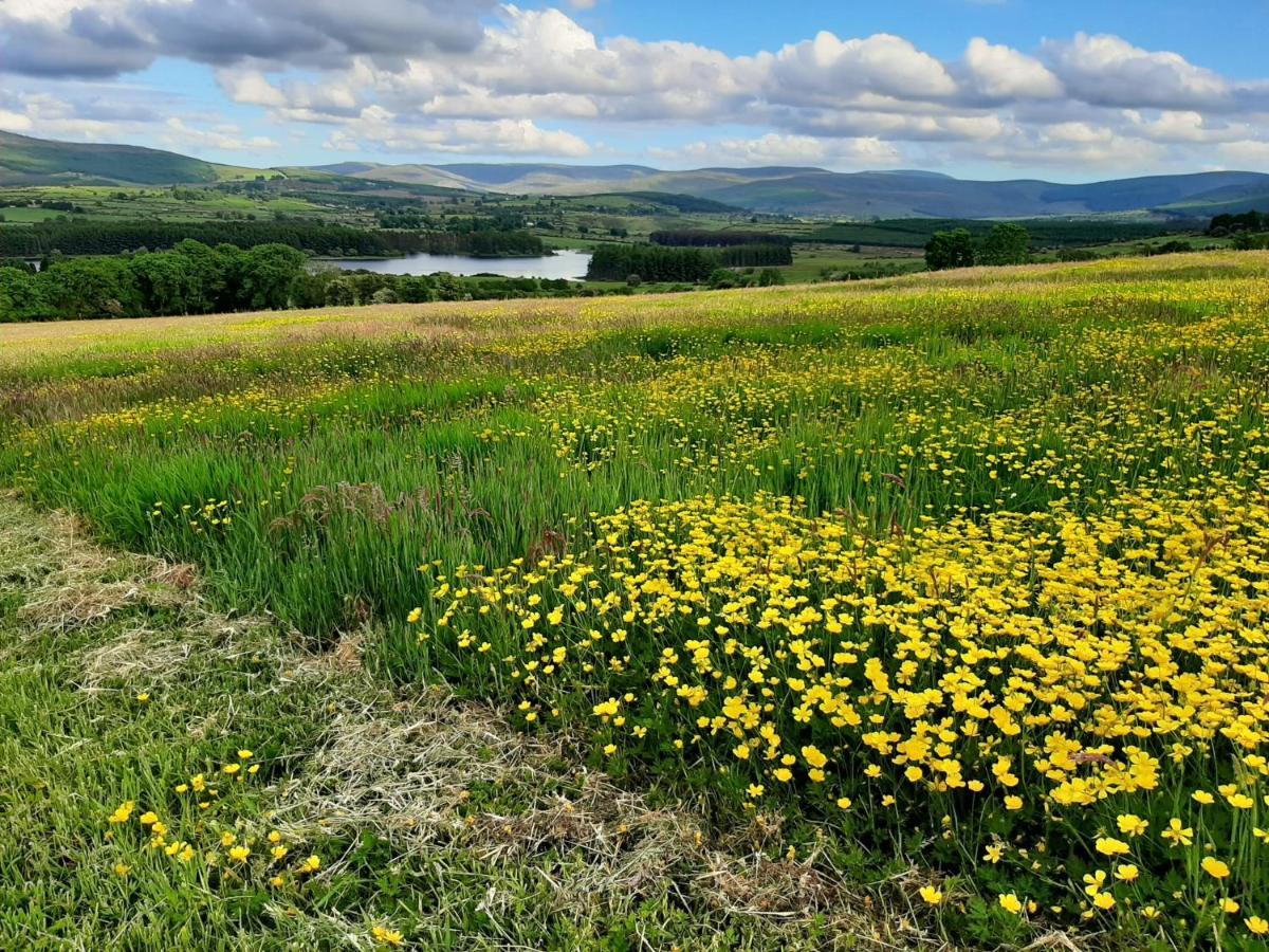 Abhainn Ri Cottages Blessington Zewnętrze zdjęcie