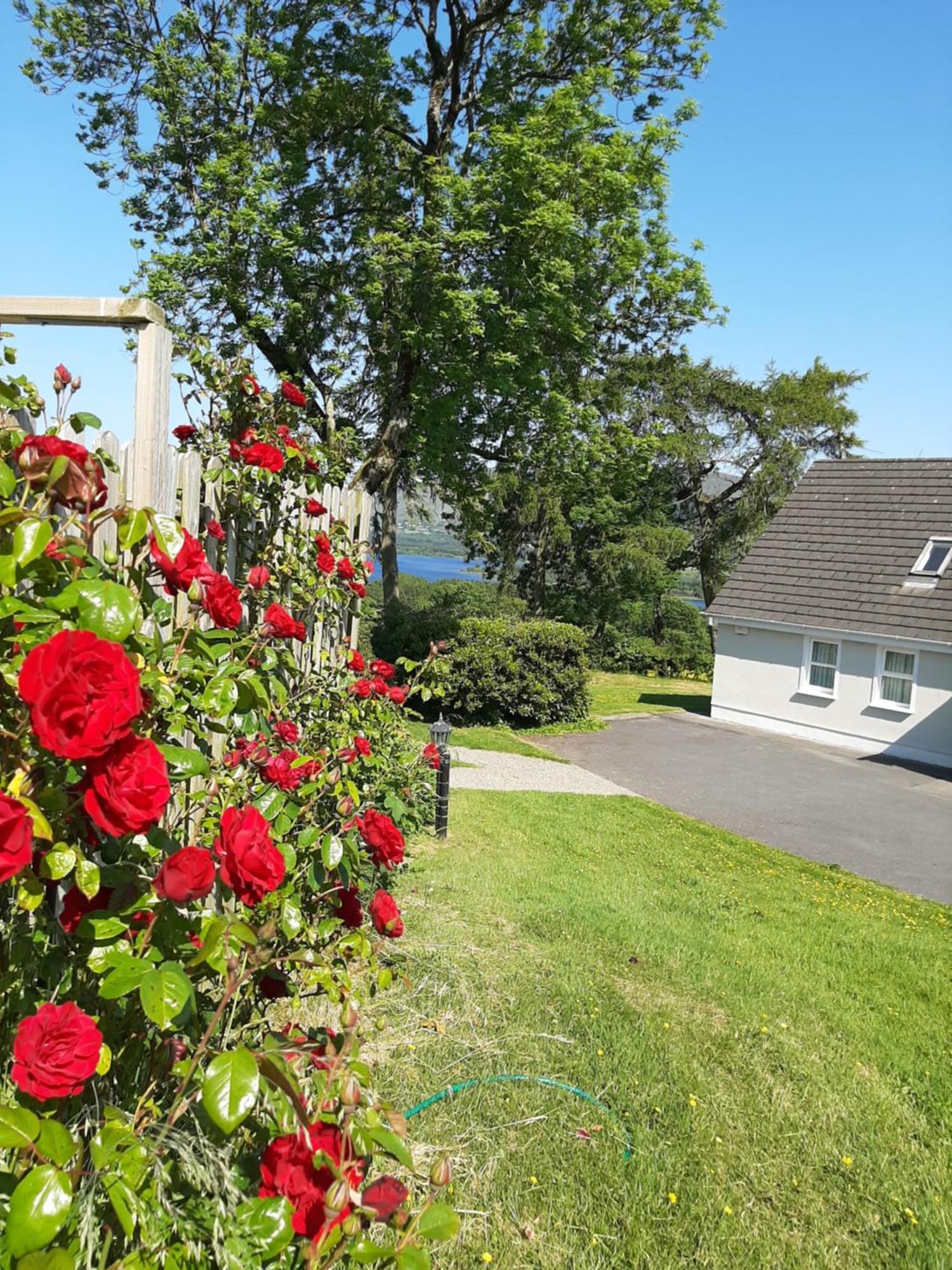 Abhainn Ri Cottages Blessington Zewnętrze zdjęcie